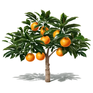 Realistic Orange Tree PNG Gkq