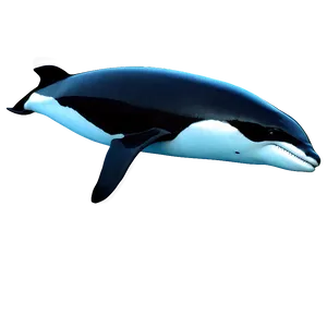 Realistic Orca PNG Mfj