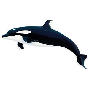 Realistic Orca Whale Drawing Png 06292024 PNG image