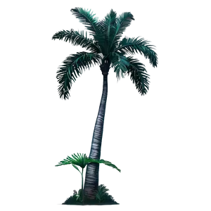 Realistic Palm Tree Silhouette PNG 06262024 PNG