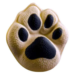 Realistic Paw Print Png Csu PNG image