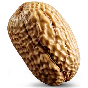 Realistic Peanut Image Png 05252024 PNG image