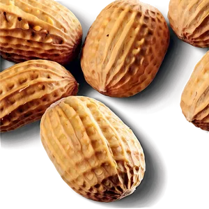 Realistic Peanut Image Png 97 PNG image