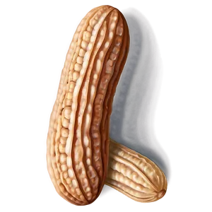 Realistic Peanut Image PNG Tol77 PNG