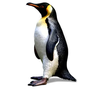 Realistic Penguin PNG 05062024