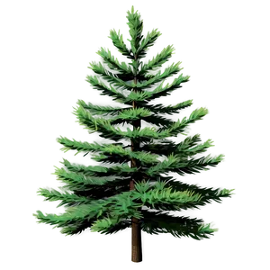 Realistic Pine Trees PNG 05252024 PNG