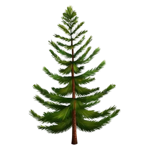 Realistic Pine Trees PNG 29 PNG