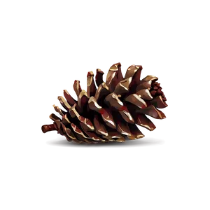 Realistic Pinecone Illustration Png 06132024 PNG image