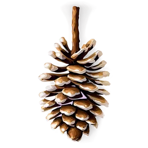 Realistic Pinecone Illustration Png 06132024 PNG image