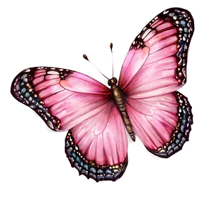 Realistic Pink Butterfly Image PNG 05232024