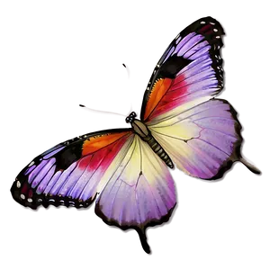 Realistic Purple Butterfly Png Bsv PNG image
