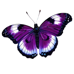 Realistic Purple Butterfly Png Dre54 PNG image