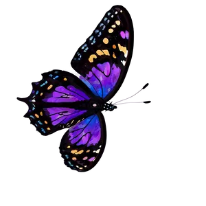 Realistic Purple Butterfly Png Stb PNG image