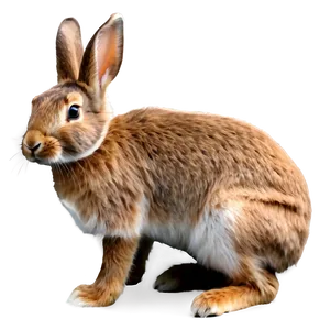 Realistic Rabbit PNG 41 PNG