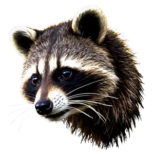 Realistic Raccoon Image PNG Nkc5