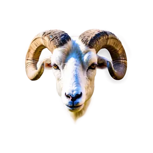 Realistic Ram Head Drawing PNG 13
