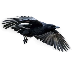 Realistic Raven In Flight PNG 06122024