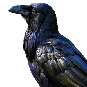 Realistic Raven Png 05062024 PNG image