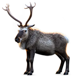 Realistic Reindeer PNG 90