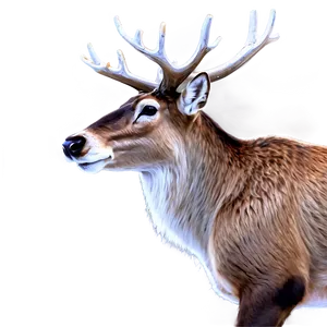 Realistic Reindeer PNG Gqk40 PNG
