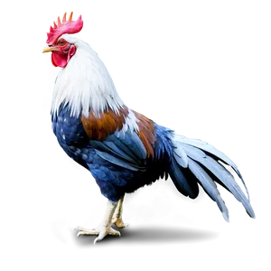 Realistic Rooster Drawing PNG 05242024