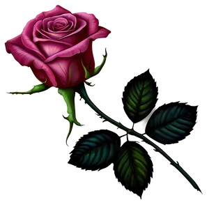 Realistic Rose Tattoo Illustration Png Uhn PNG image