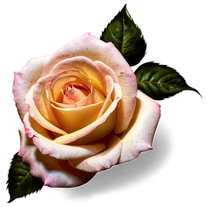 Realistic Rose Vector File PNG Sno97 PNG