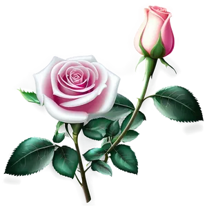 Realistic Rose Vector Image Png Ibt32 PNG image