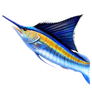 Realistic Sailfish Graphic Png 06262024 PNG image