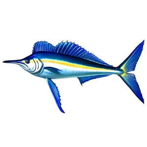 Realistic Sailfish Graphic Png 06262024 PNG image