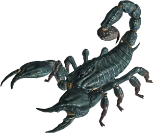 Realistic Scorpion Model PNG image
