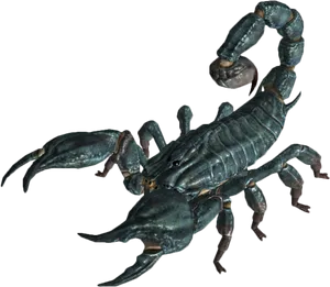 Realistic Scorpion Model PNG image