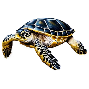 Realistic Sea Turtle Drawing Png 05242024 PNG image