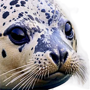 Realistic Seal Drawing Png 05242024 PNG image