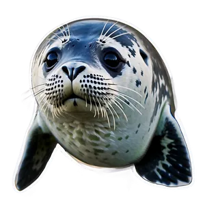 Realistic Seal Drawing Png Yla93 PNG image