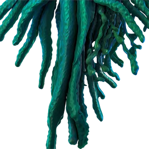 Realistic Seaweed Art PNG Lgu