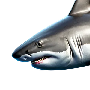 Realistic Shark Image Png Kph PNG image