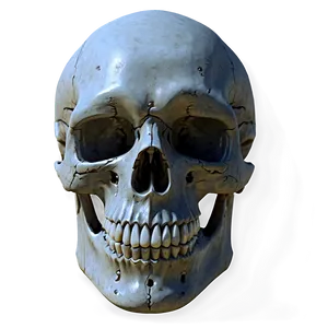 Realistic Skull Face Representation PNG Edo52 PNG