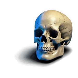 Realistic Skull Face Representation PNG Roo7 PNG