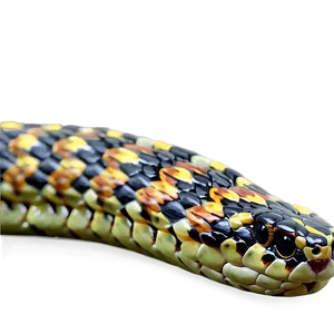 Realistic Snake Png 36 PNG image