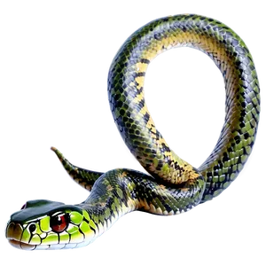 Realistic Snake Png Psc PNG image