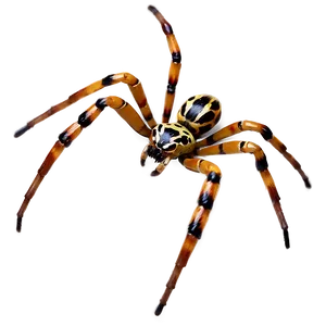 Realistic Spider Png 70 PNG image