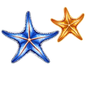 Realistic Starfish Drawing Png 20 PNG image