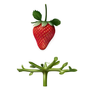 Realistic Strawberry PNG 05042024