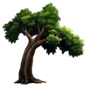 Realistic Tree Artwork Png Syk PNG image