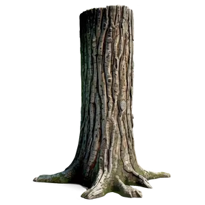 Realistic Tree Trunk PNG Alv73