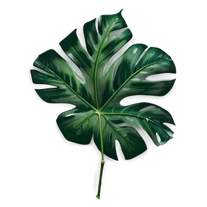 Realistic Tropical Leaf Graphic Png 06122024 PNG image