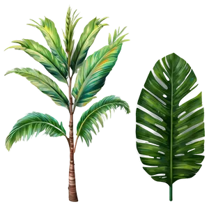 Realistic Tropical Plants PNG Ajw93