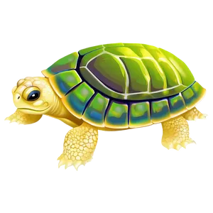 Realistic Turtle Illustration Png Mdq79 PNG image