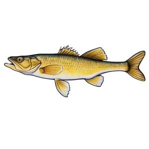 Realistic Walleye Drawing Png 97 PNG image